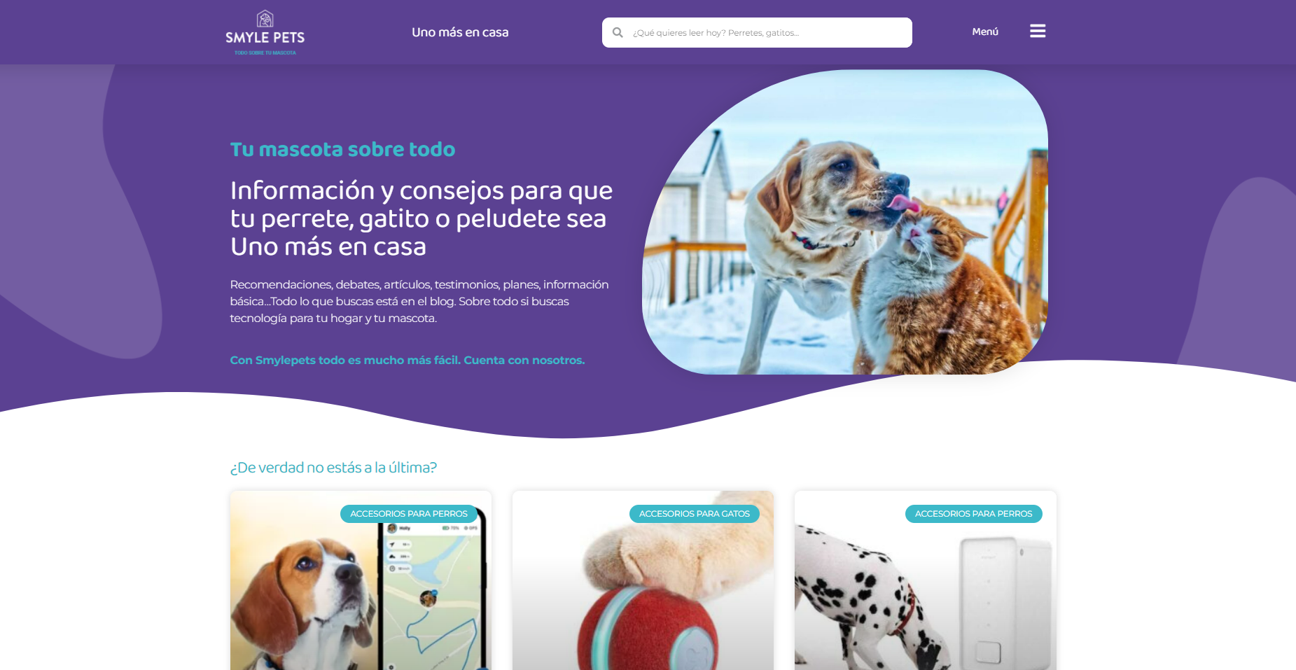 Albergues «pet friendly» en España con REAJ y Smylepets Noticias de